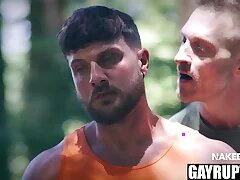 Open Gay Porn Movies 9